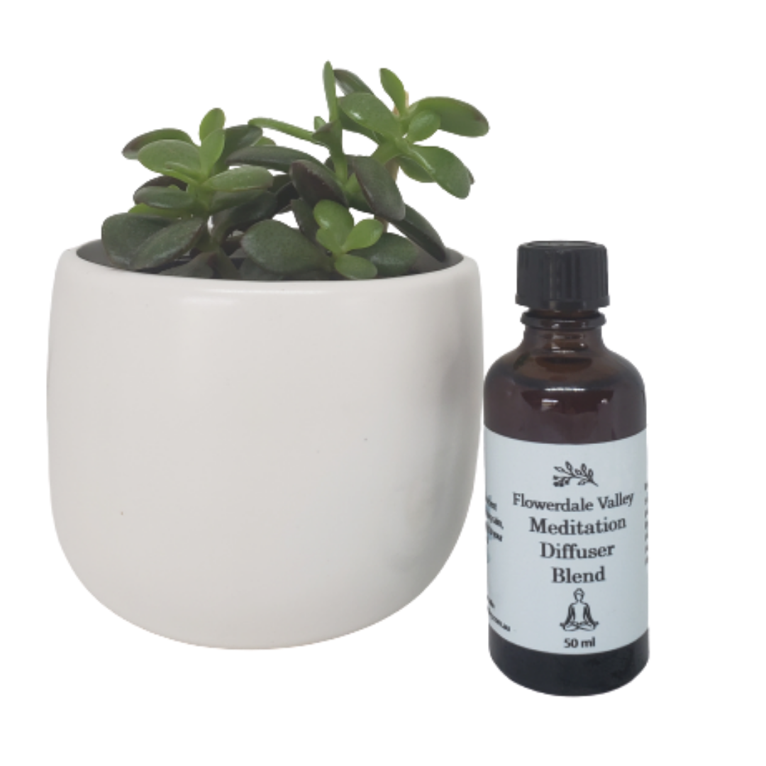Meditation Blend - essential oil
